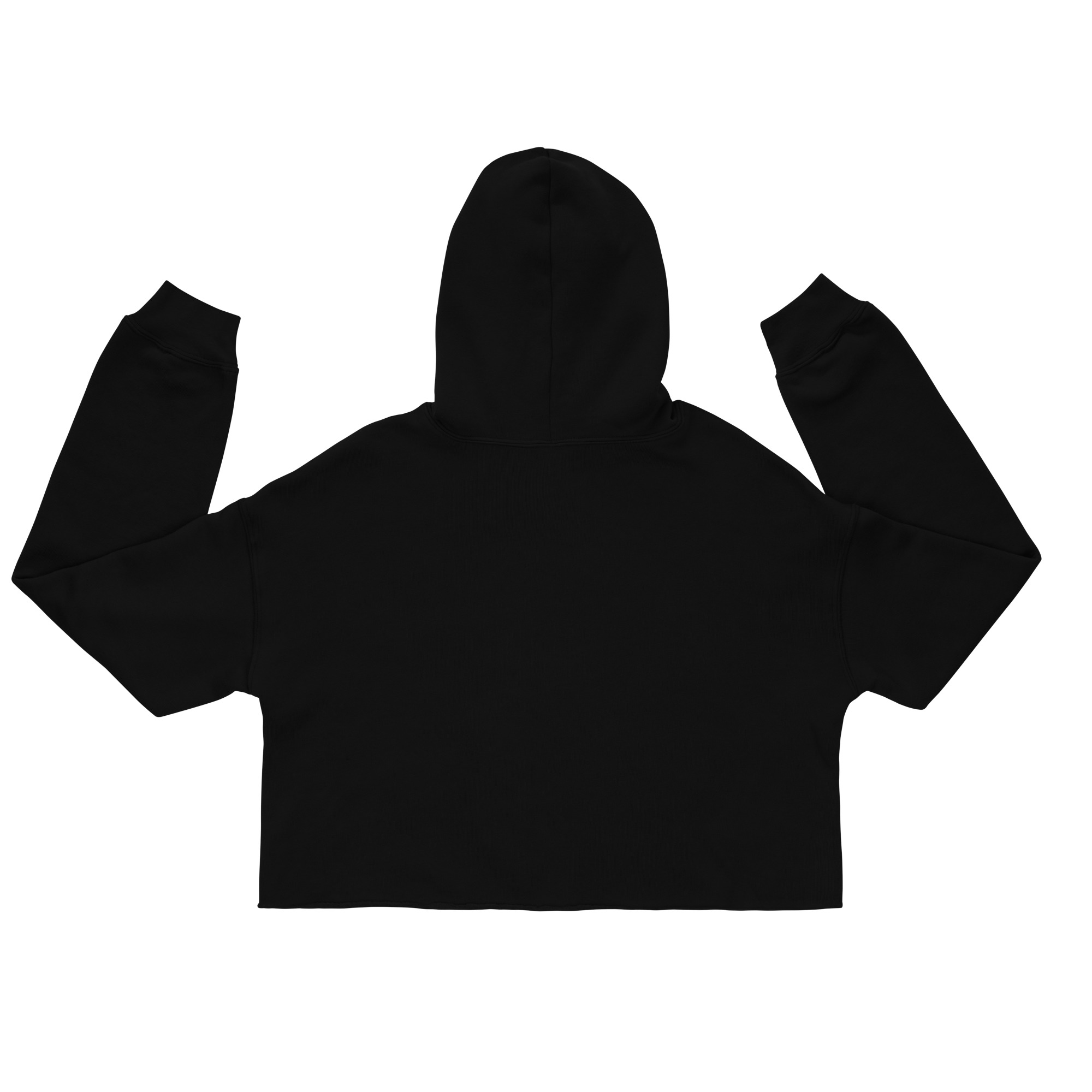 NYPAA Crop Hoodie - Image 2